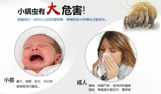 把枕头放进这里一夜后螨虫全死了(图) 把枕头放进这里一夜后螨虫全死了(图)