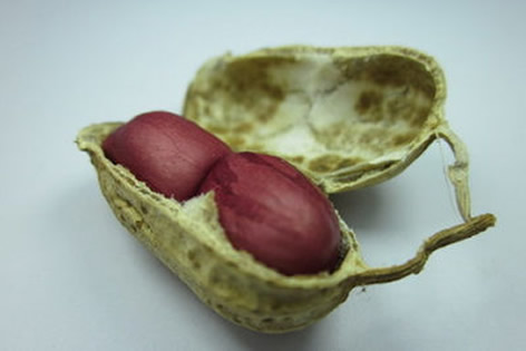 起床后常吃它70岁都不易患癌（图）