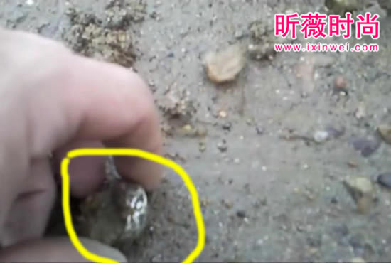 男子捡到一戒指 鉴定后乐坏了(图) 男子捡到一戒指 鉴定后乐坏了(图)