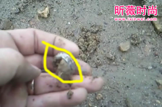 男子捡到一戒指 鉴定后乐坏了(图) 男子捡到一戒指 鉴定后乐坏了(图)