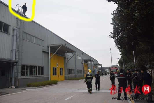 劝领导别插队被开 网友：说实话的人不容易（全文）