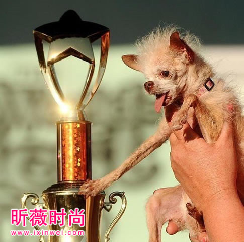 恶心图片吓死人不偿命：重口味恶心图（不喜勿入）