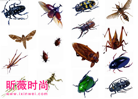 恶心图片吓死人不偿命：重口味恶心图（不喜勿入）