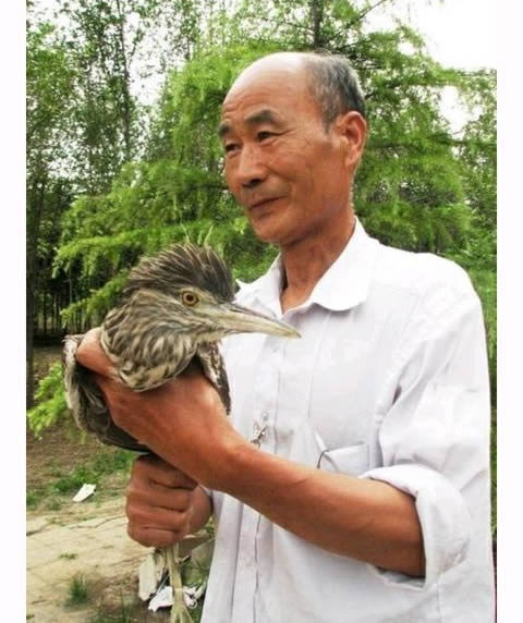 四川老汉救一只鸟,它为报恩送来几百万（全文）