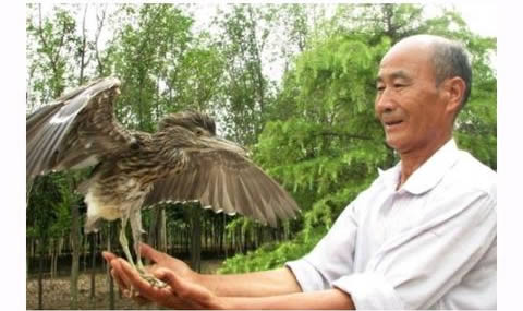 四川老汉救一只鸟,它为报恩送来几百万（全文）