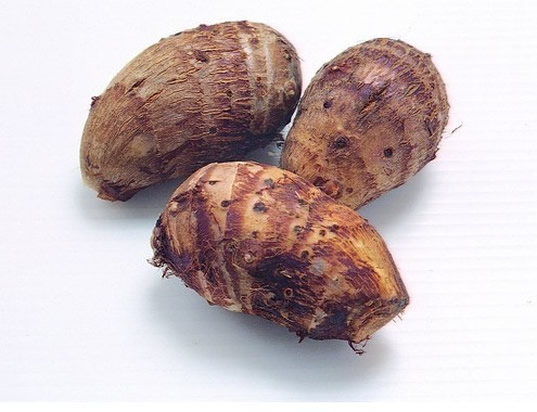 防癌的食物 这个村庄无人患癌只因他们都吃它