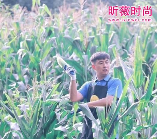 向往的生活在哪里拍的:向往的生活节目拍摄地点 向往的生活在哪里拍的:向往的生活节目拍摄地点