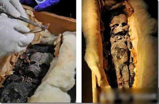 考古专家在埃及发现外星人木乃伊
