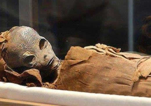 考古专家在埃及发现外星人木乃伊