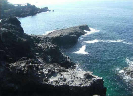 中国女子在韩遇害:酒店人员目击了作案过程 中国女子在韩遇害:酒店人员目击了作案过程