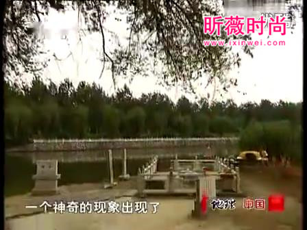 百年古井冒泡专家抽干水吓出冷汗