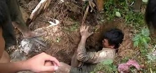 香蕉树挖洞,挖出惊人一物!（不可思议）