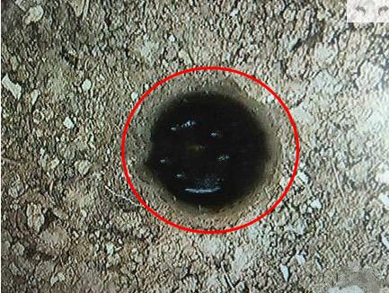 嘉兴村民种地挖出油田 起初专家都想不到（图）