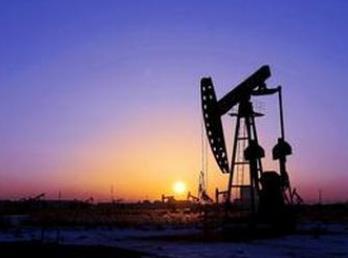 嘉兴村民种地挖出油田 起初专家都想不到（图）