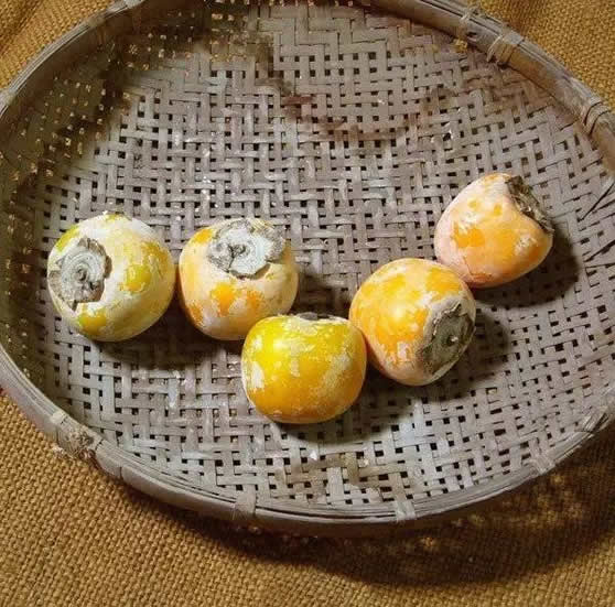 神秘女子震惊世界!惊叹她背后的男人(组图) 神秘女子震惊世界!惊叹她背后的男人(组图)