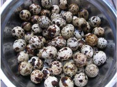 女人常吃三种蛋 脸蛋不老身体好(图) 女人常吃三种蛋 脸蛋不老身体好(图)