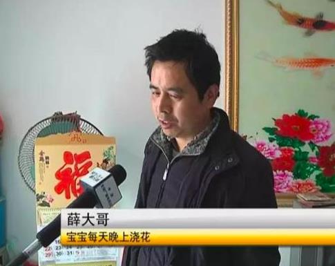 大叔捡个17岁老婆 美梦后却想哭（全文）