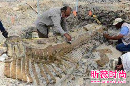 两兄弟挖出古墓 竟藏千年龙脉（图）