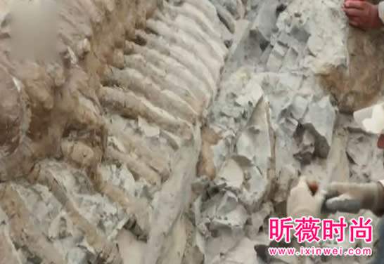 两兄弟挖出古墓 竟藏千年龙脉（图）