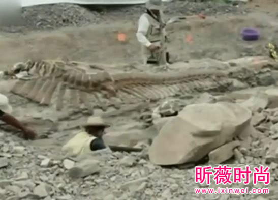 两兄弟挖出古墓 竟藏千年龙脉（图）