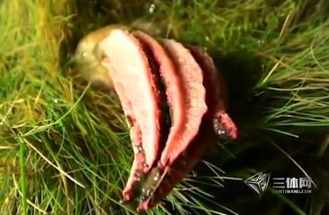 男子草丛发现异物 捅破后被吓坏了（图）