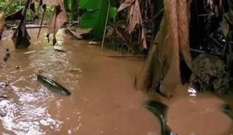 警惕!暴雨天碰到这东西赶紧逃命（图）