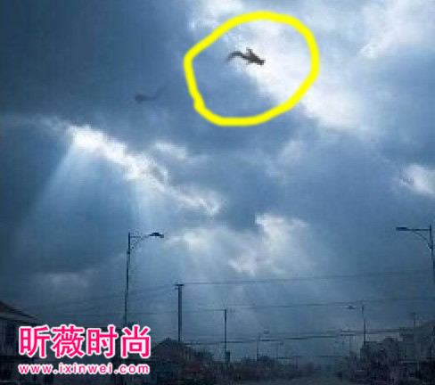 世界上真的有龙吗 世界上有没有龙 真龙标本曝光