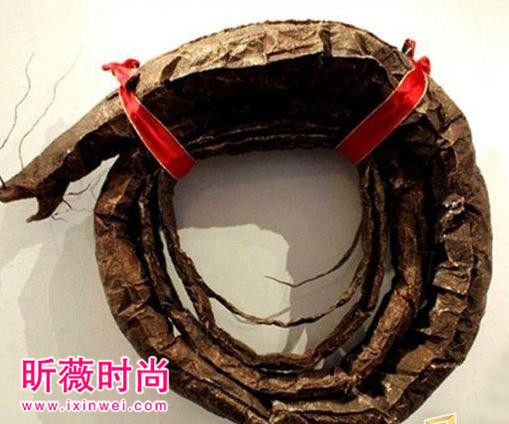 海边发现奇怪生物,得知真相后惊颤(图) 海边发现奇怪生物,得知真相后惊颤(图)