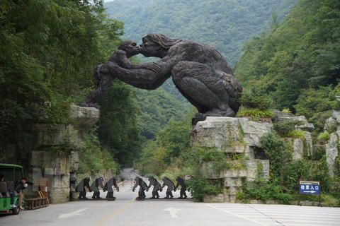 神龙架有野人?沉寂40年的秘密公开