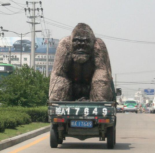 神龙架有野人?沉寂40年的秘密公开