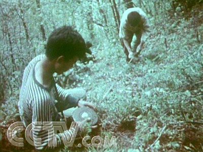 神龙架有野人?沉寂40年的秘密公开