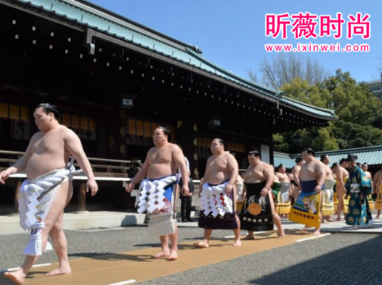 为啥日本女人都想嫁相扑队员（图）