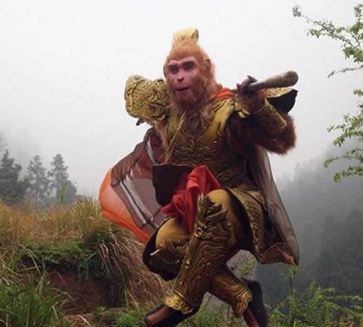 孙悟空为何只活了342岁:揭秘真相太惊人 孙悟空为何只活了342岁:揭秘真相太惊人