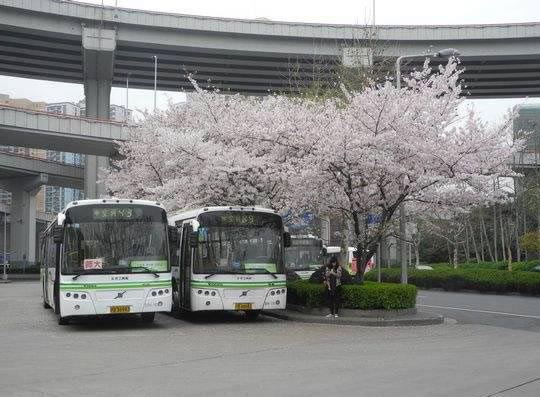 上海最美公交站:盘点20个最美公交站你中意哪个 上海最美公交站:盘点20个最美公交站你中意哪个