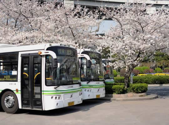 上海最美公交站：盘点20个最美公交站你中意哪个
