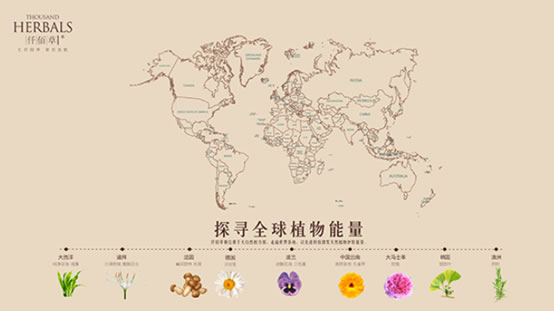 数十万人寻找的绿孔雀终于盛大开屏:原来可以这样美! 数十万人寻找的绿孔雀终于盛大开屏:原来可以这样美!