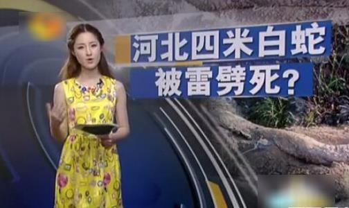 云梦山白蛇渡劫失败被雷劈死:竟被野猪吃掉 云梦山白蛇渡劫失败被雷劈死:竟被野猪吃掉