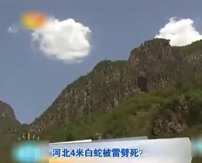云梦山白蛇渡劫失败被雷劈死:竟被野猪吃掉 云梦山白蛇渡劫失败被雷劈死:竟被野猪吃掉