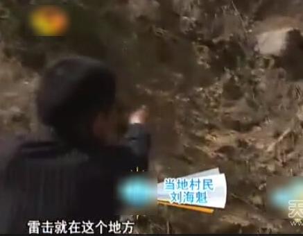 云梦山白蛇渡劫失败被雷劈死:竟被野猪吃掉 云梦山白蛇渡劫失败被雷劈死:竟被野猪吃掉