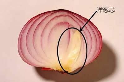 洋葱放入耳朵一夜竟然出现奇迹了