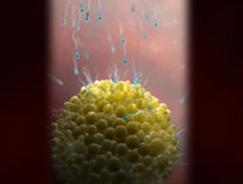 【怀孕3周】怀孕三周胎儿图，怀孕3周孕妈症状反应注意事项