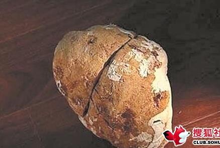 杀猪发现硬物:村民一夜暴富(图) 杀猪发现硬物:村民一夜暴富(图)