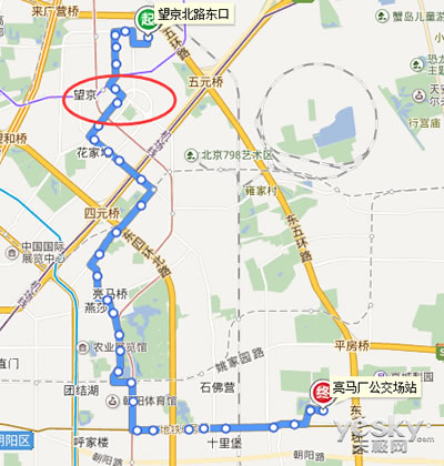 司机猝死公交撞树 生前及时踩了刹车,无人伤亡 司机猝死公交撞树 生前及时踩了刹车,无人伤亡