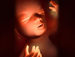 【怀孕13周】怀孕13周胎儿图,怀孕十三周胎儿发育标准 【怀孕13周】怀孕13周胎儿图,怀孕十三周胎儿发育标准