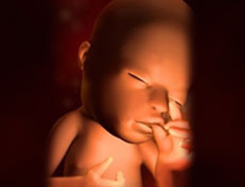 【怀孕15周】怀孕第15周胎儿图,怀孕15周孕妈应注意什么 【怀孕15周】怀孕第15周胎儿图,怀孕15周孕妈应注意什么