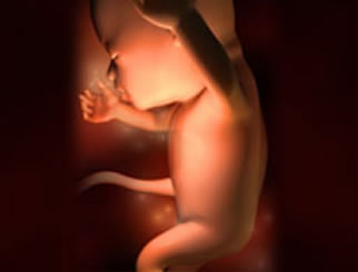 【怀孕16周】怀孕第16周胎儿发育图，怀孕16周症状详情介绍