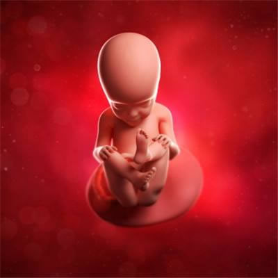【怀孕27周】怀孕27周胎儿图,怀孕27周准妈育儿全程指导