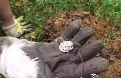 男子上山寻宝 挖出这物吓坏了!（图）