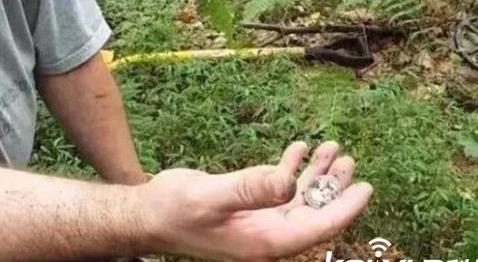 男子上山寻宝 挖出这物吓坏了!（图）