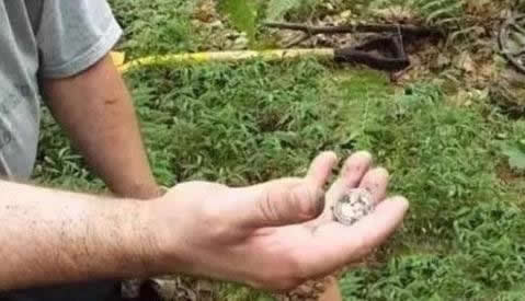 男子上山寻宝 挖出这物吓坏了!（图）